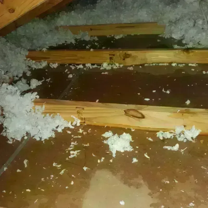 Attic Water Damage in Chapmanville, WV